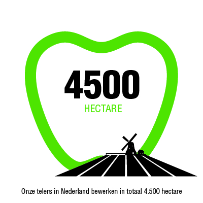 Infographic 4500 hectare