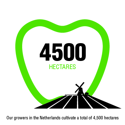 4500 hectares